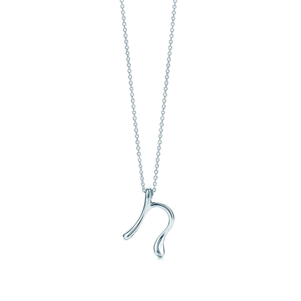 Tiffany & Co. Initial Necklace (N)